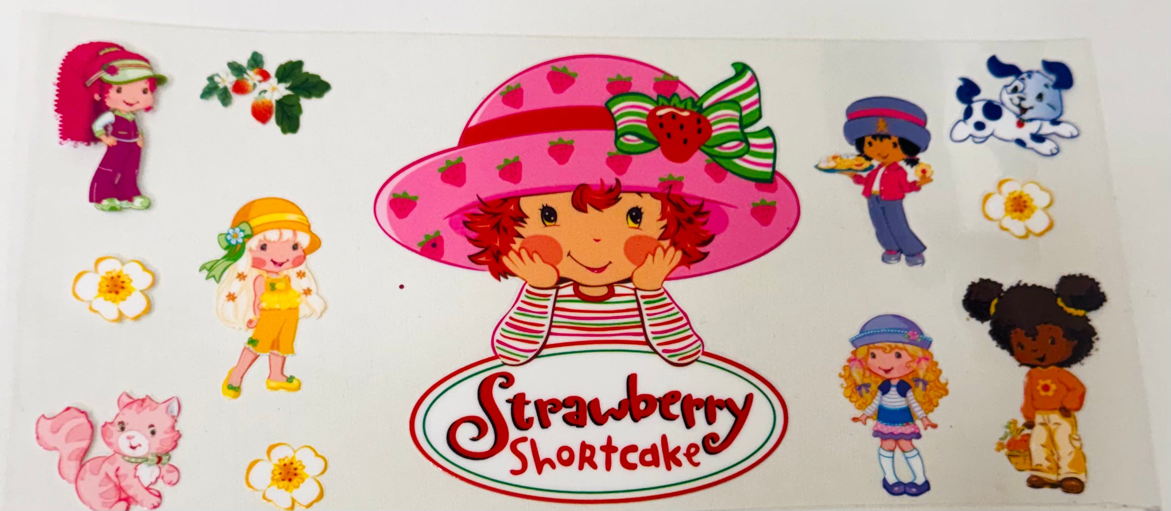 2003 Strawberry Shortcake