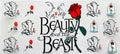 Beauty & The Beast