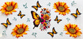 Butterflies