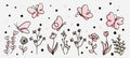 Pink Butterflies