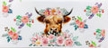Highland cow