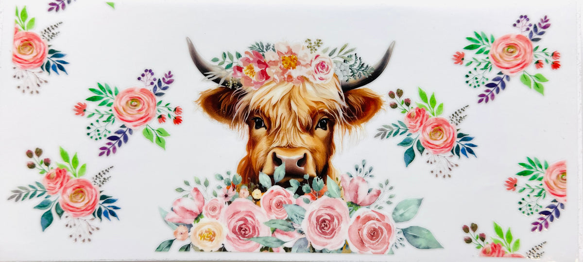 Highland cow