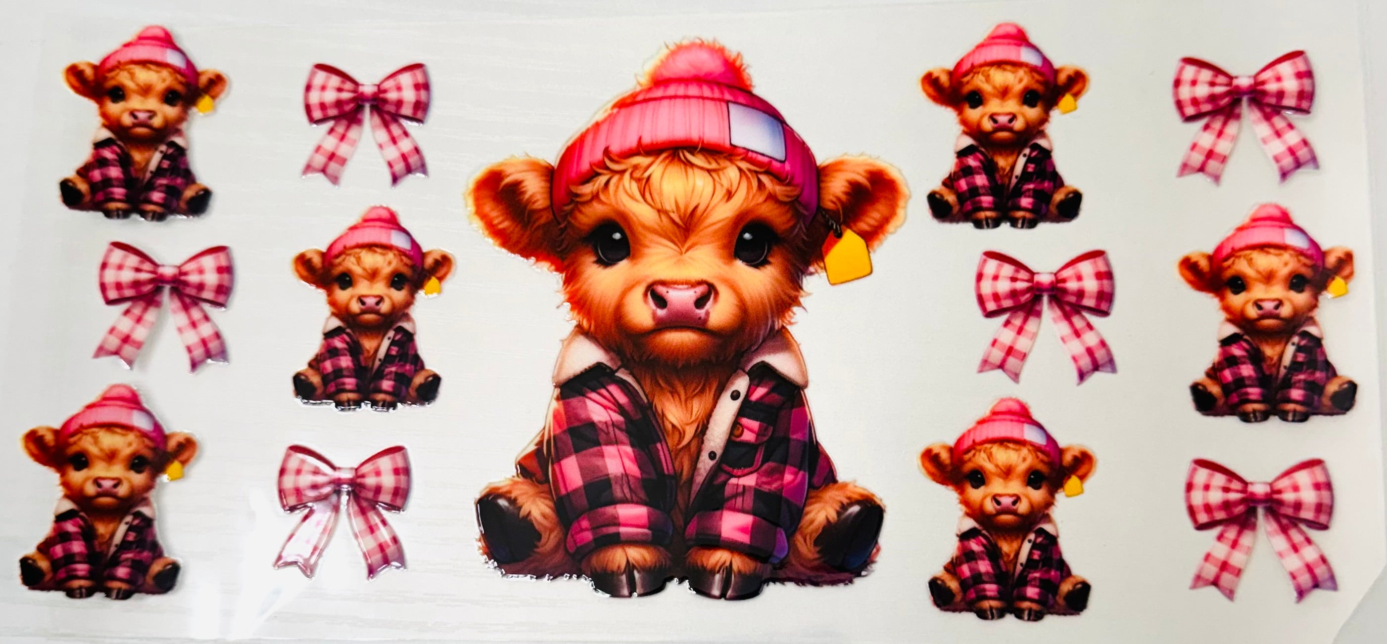 Highland cow (8)