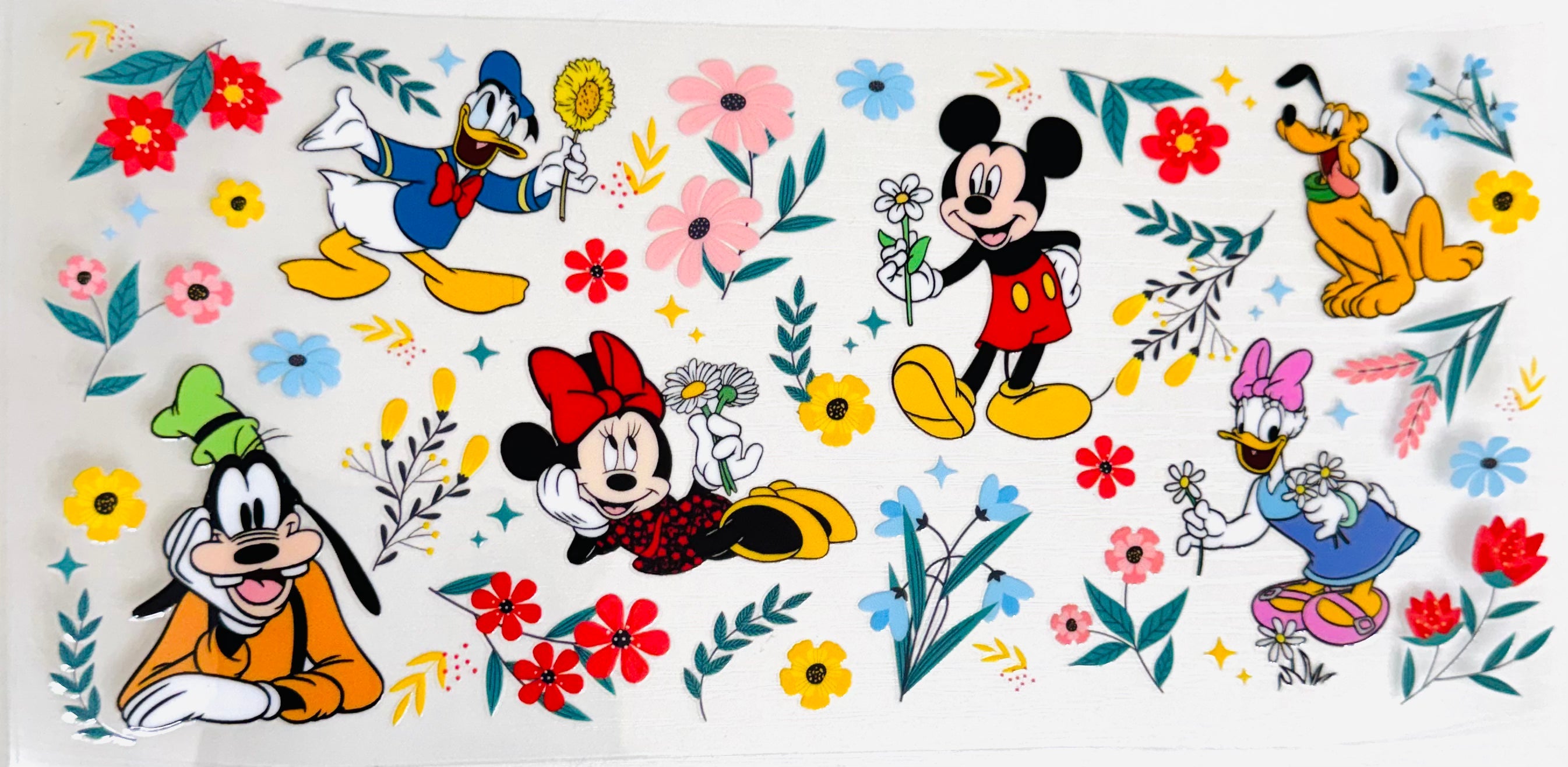 Mickey & Friends