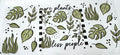 Plants