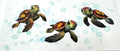 Turtles (2)