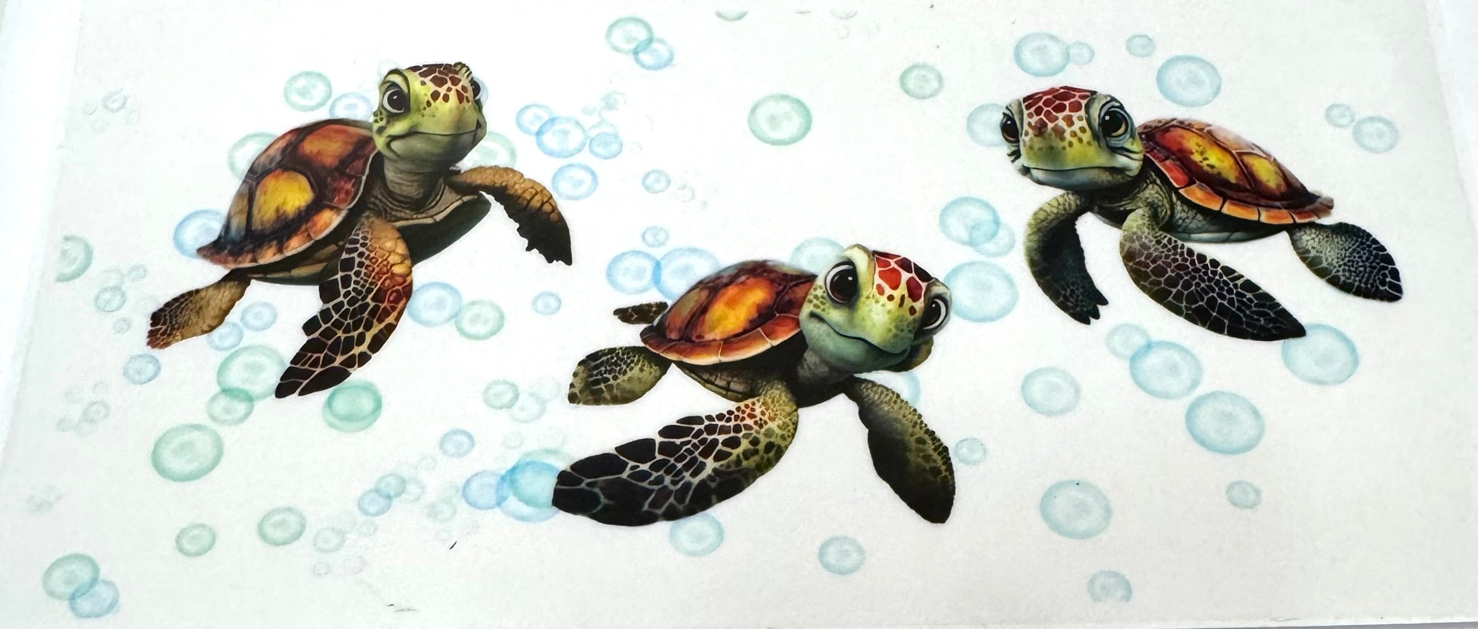 Turtles (2)